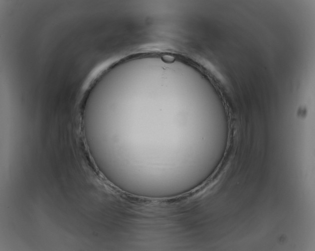X0000093401358200710120847
