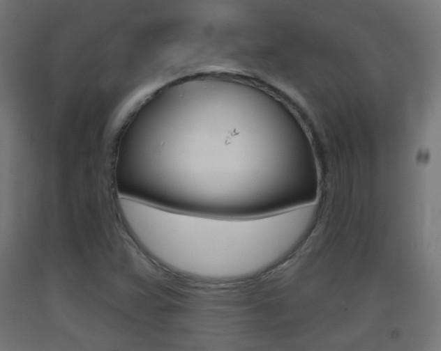 X0000093401359200710120847
