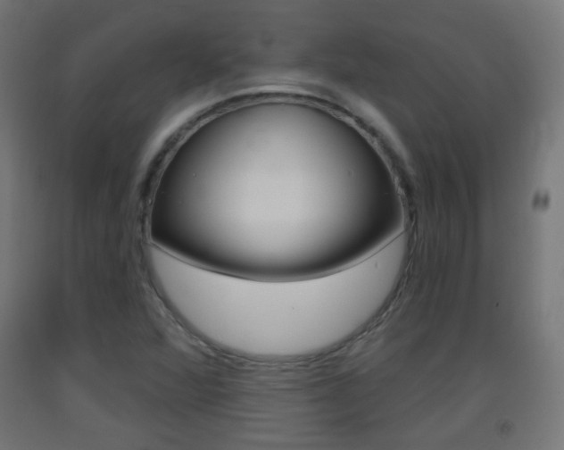 X0000093401360200710120847