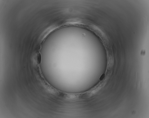 X0000093401361200710120847