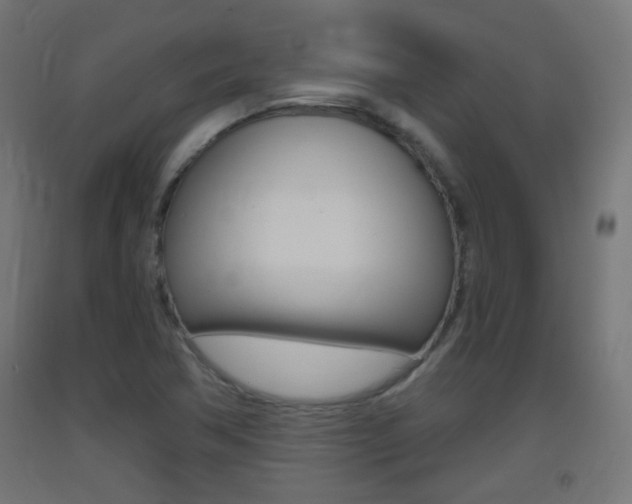 X0000093401362200710120847