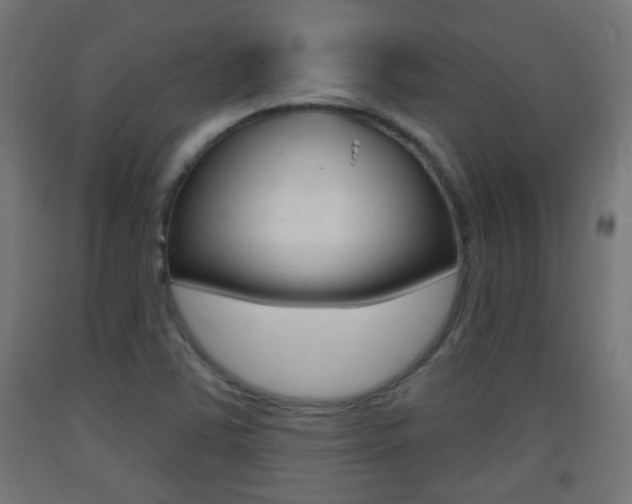 X0000093401363200710120847