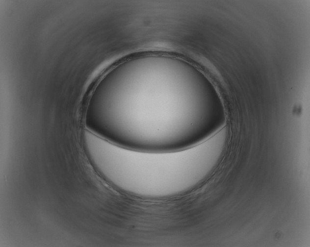 X0000093401364200710120847