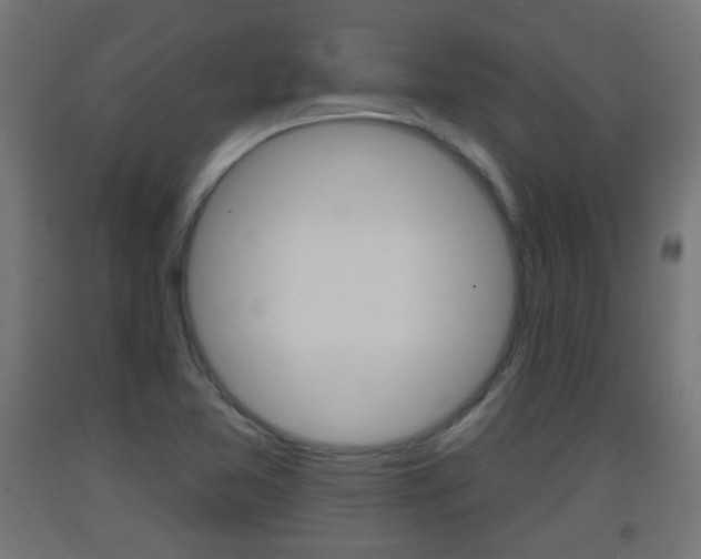 X0000093401365200710120847