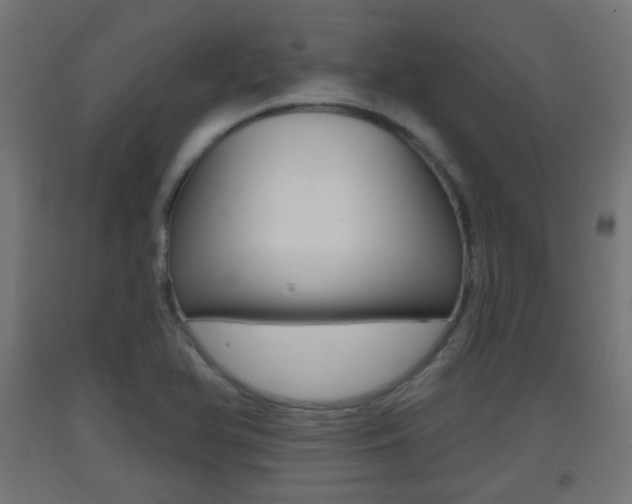 X0000093401366200710120847