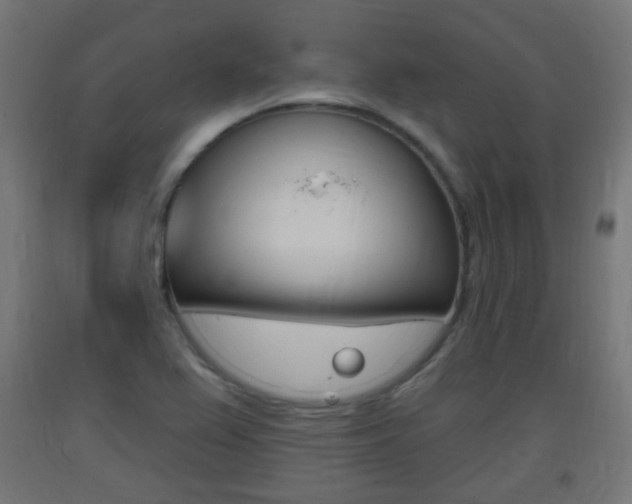 X0000093401367200710120847