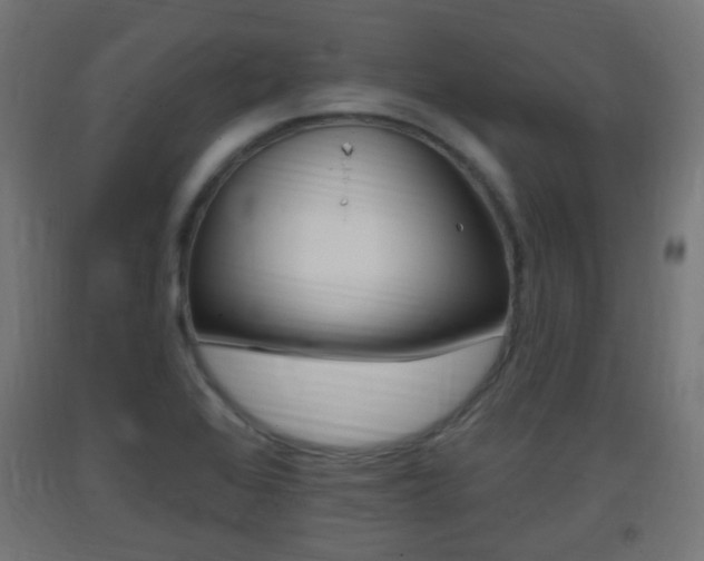 X0000093401368200710120847