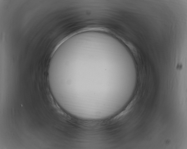 X0000093401369200710120847