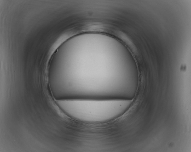 X0000093401370200710120847