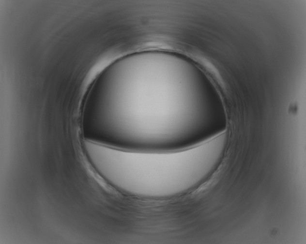 X0000093401373200710120847