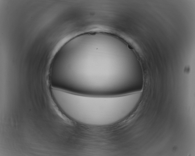X0000093401375200710120847