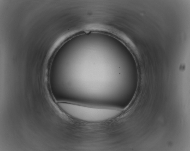 X0000093401376200710120847