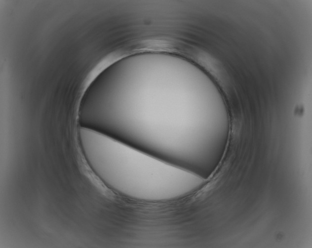 X0000093401378200710120847