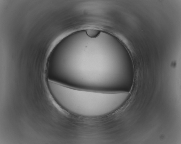 X0000093401379200710120847