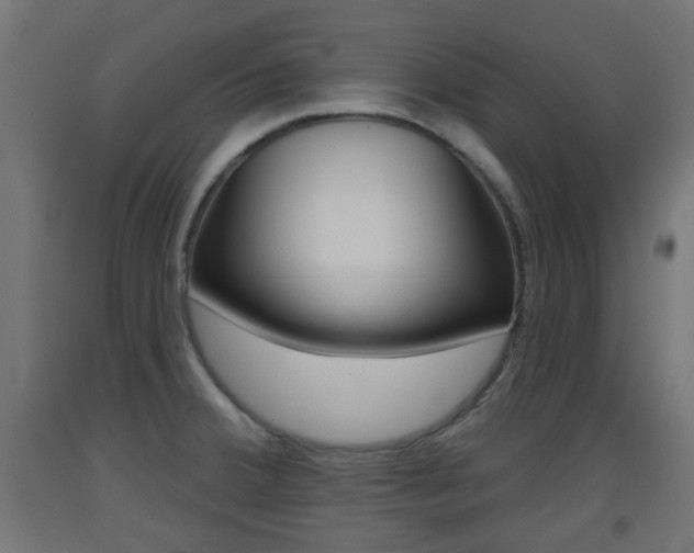 X0000093401380200710120847