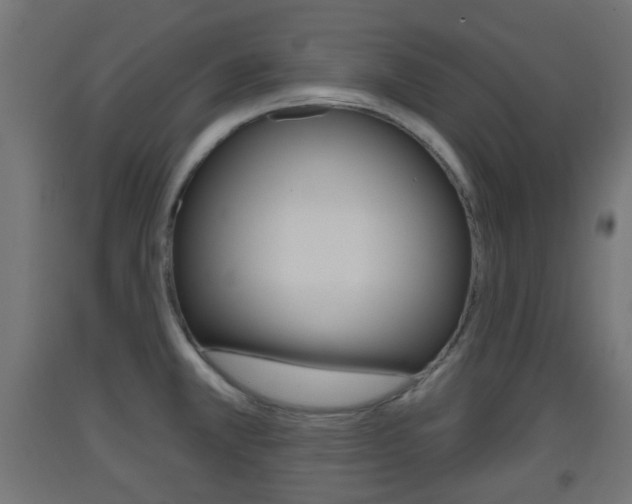 X0000093401381200710120847