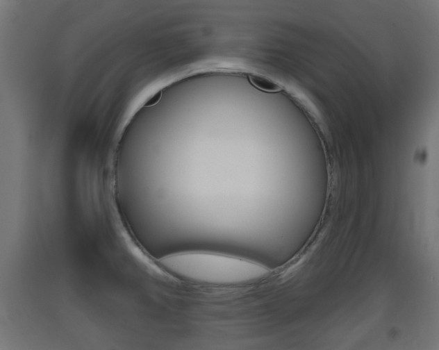 X0000093401382200710120847