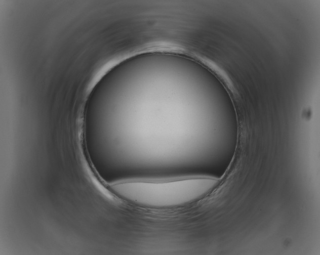 X0000093401383200710120847