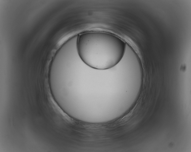 X0000093401384200710120847