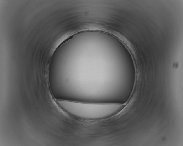 X0000093401385200710120847