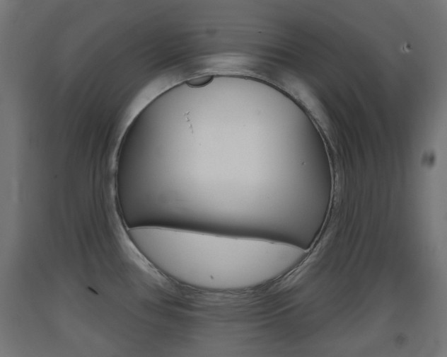 X0000093401386200710120847