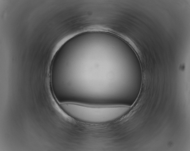 X0000093401387200710120847