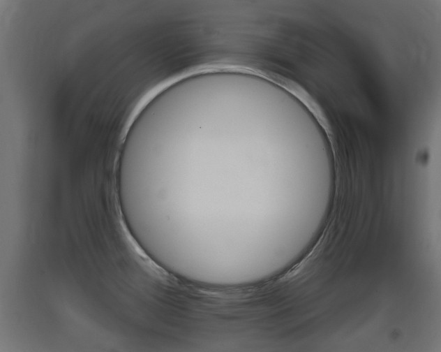 X0000093401388200710120847