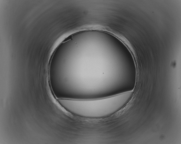 X0000093401389200710120847