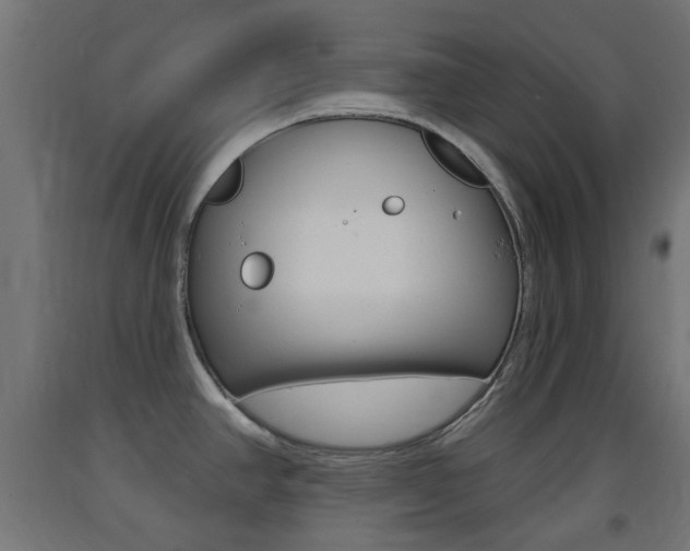 X0000093401390200710120847