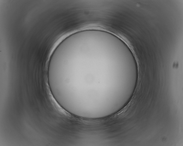 X0000093401392200710120847