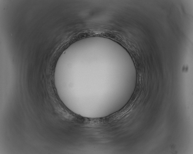 X0000093401393200710120846