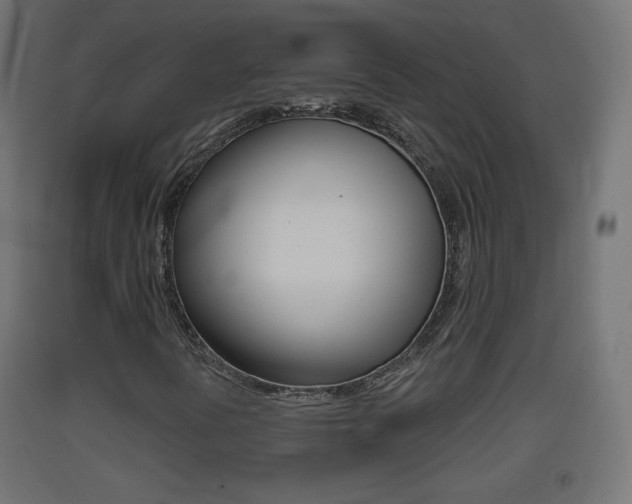 X0000093401394200710120846