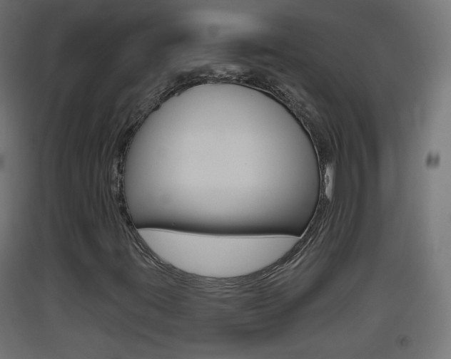 X0000093401395200710120846