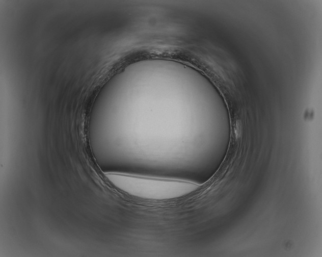 X0000093401396200710120846