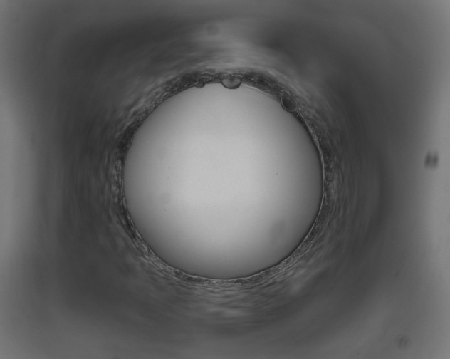 X0000093401397200710120846