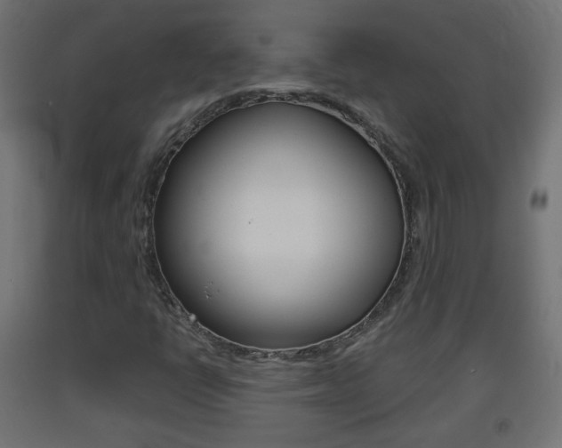 X0000093401398200710120846