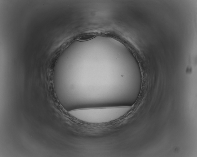X0000093401399200710120846