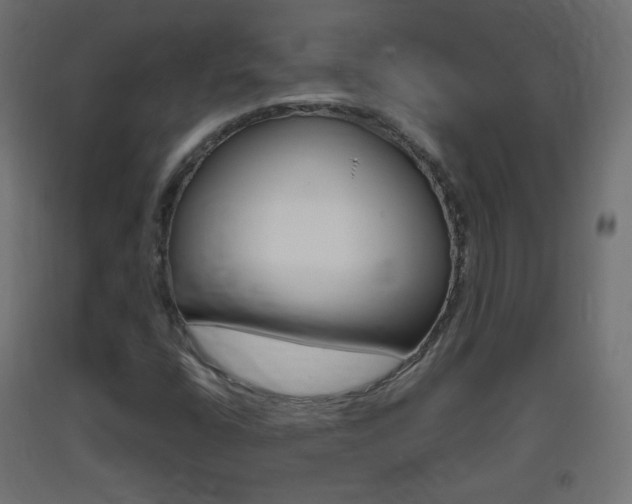 X0000093401400200710120846