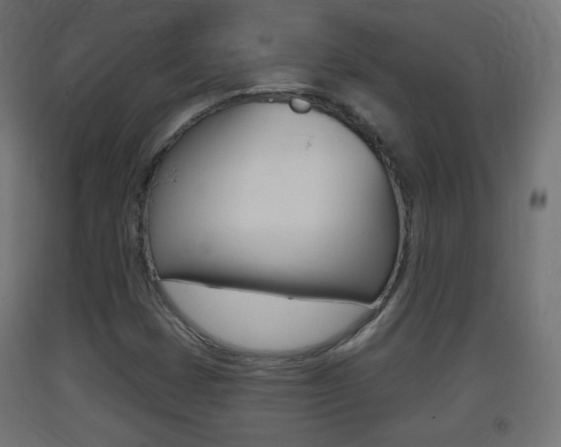 X0000093401401200710120846