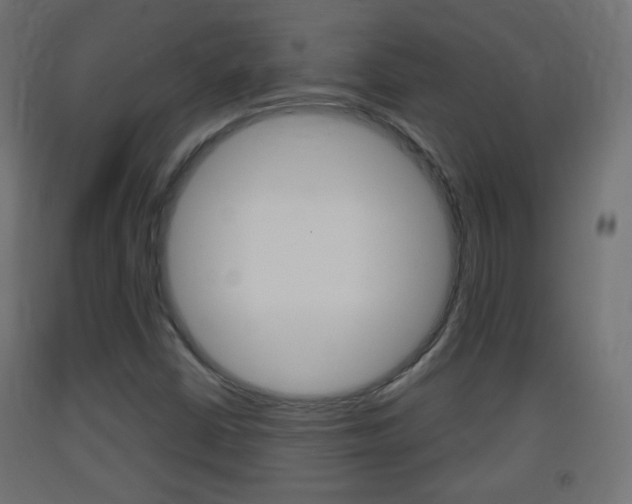 X0000093401402200710120846
