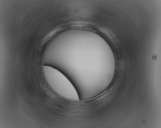 X0000093401403200710120846