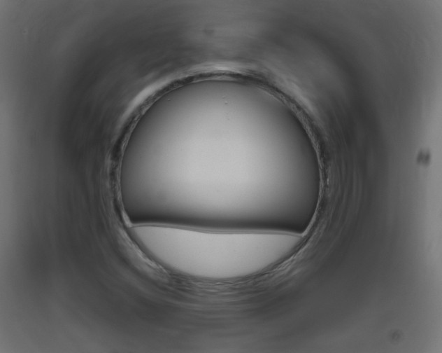 X0000093401404200710120846