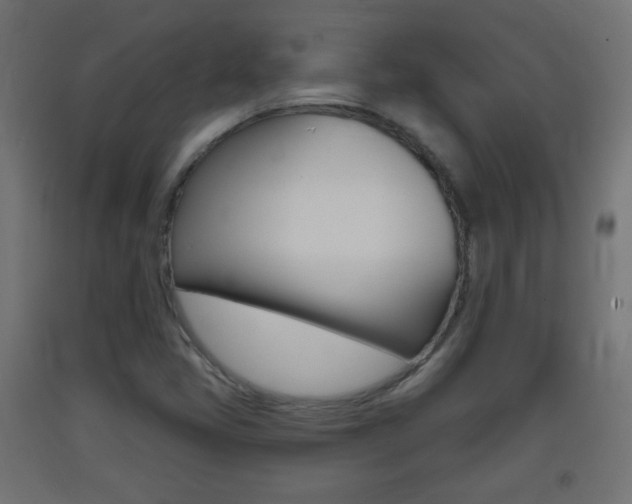 X0000093401405200710120846