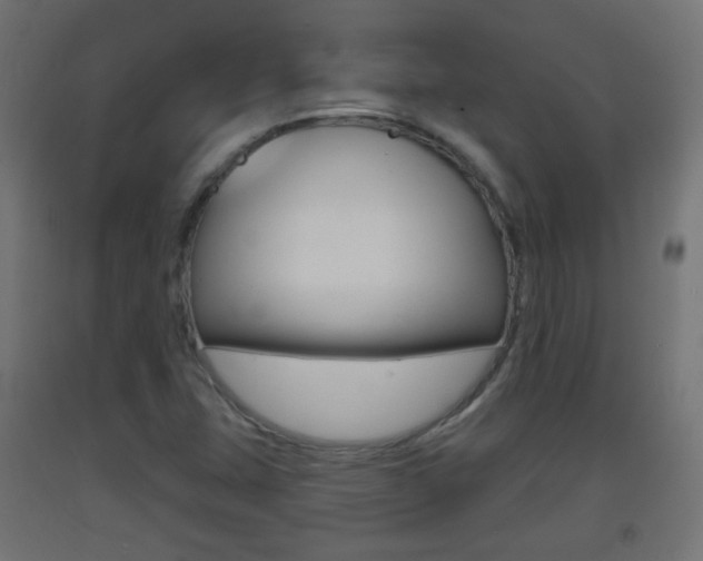 X0000093401407200710120846