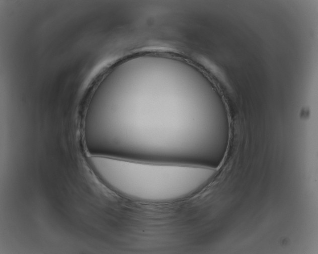 X0000093401408200710120846