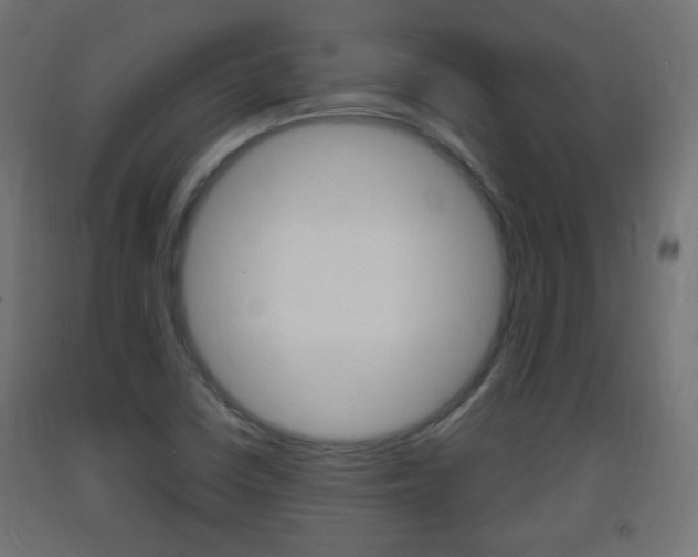 X0000093401410200710120846