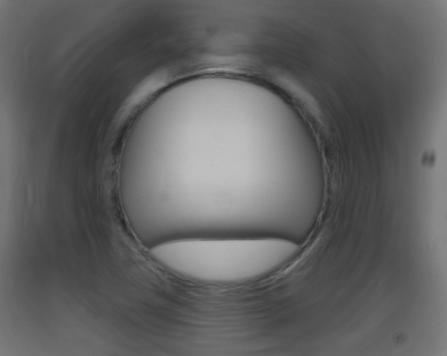 X0000093401411200710120846