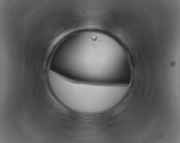 X0000093401412200710120846