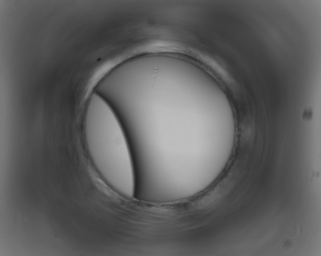X0000093401413200710120846