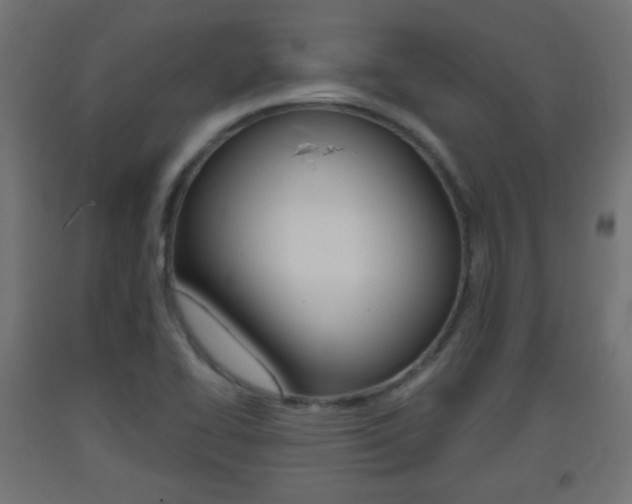 X0000093401414200710120846